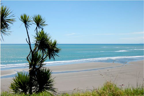 Raglan Naturally Community Plan 2020